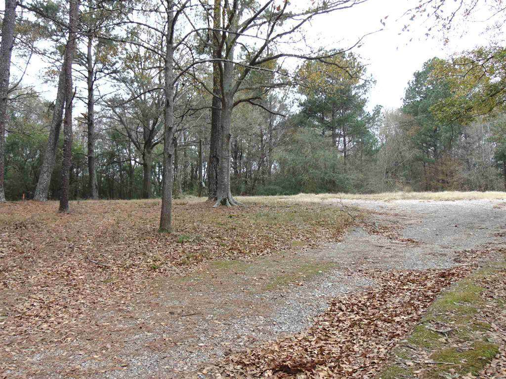103 Medical Acres Blvd. - Photo 1