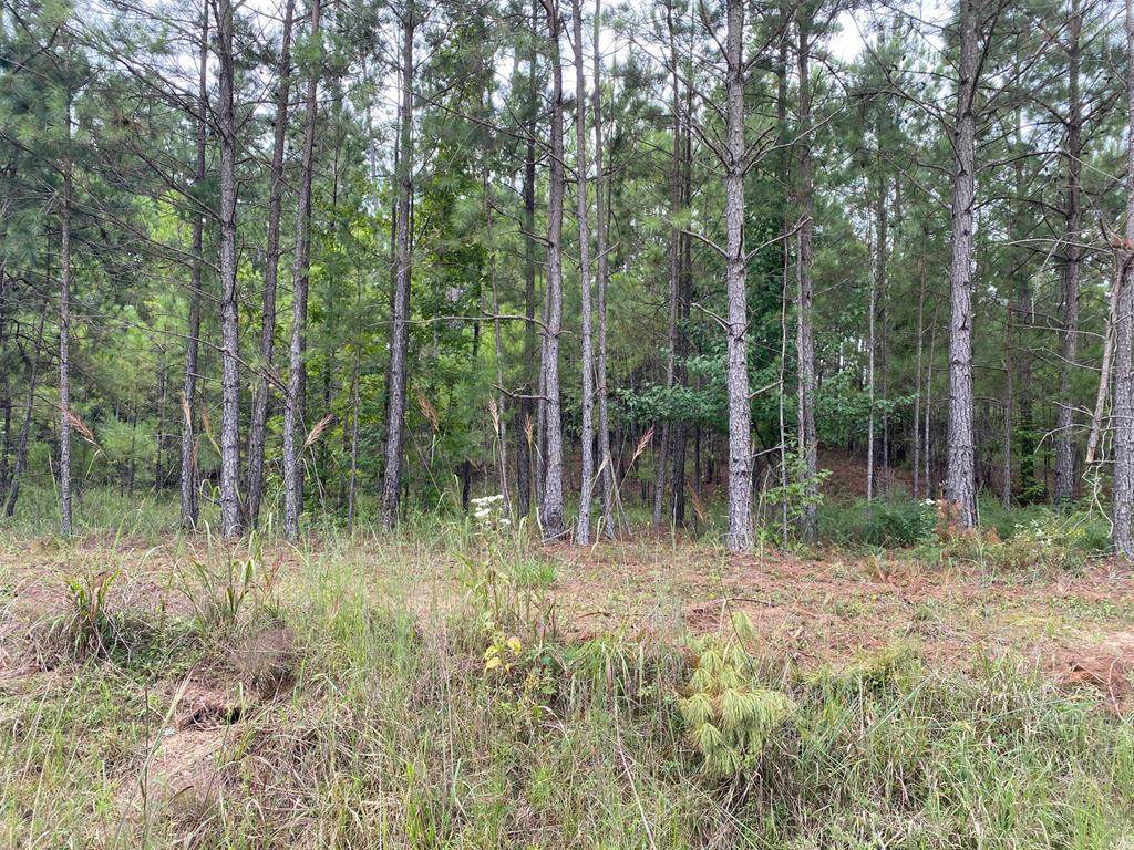 335 Log Cabin Rd - Photo 1