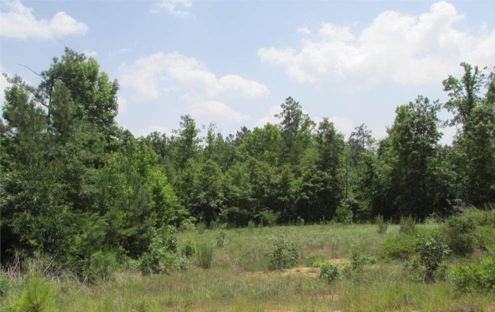 119 Maddux Lane - Photo 1