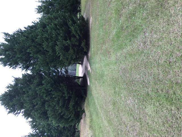 1562 Arlinechaperl Church Rd - Photo 1