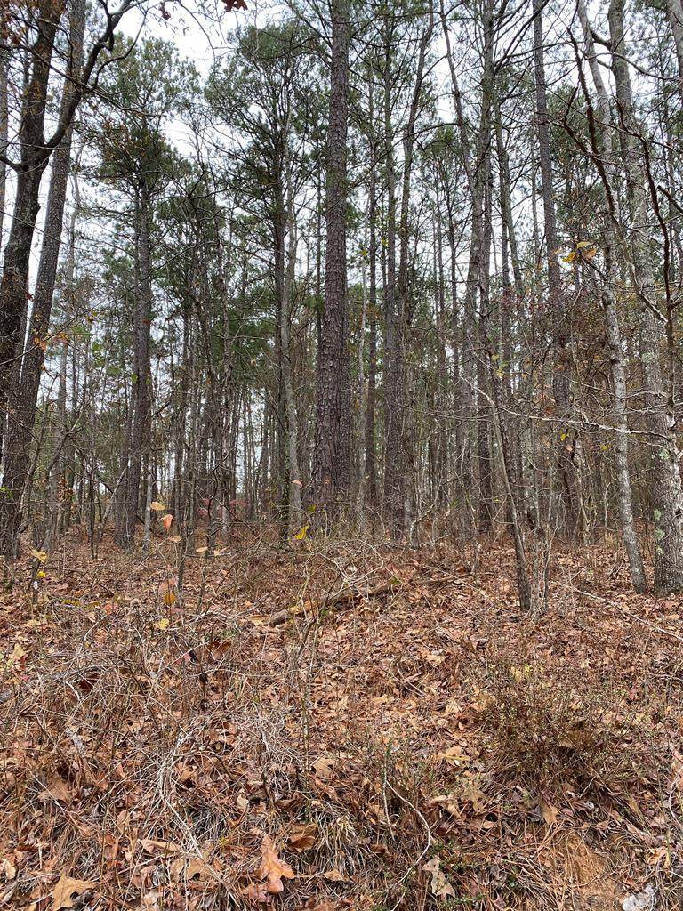 Lot 571 Overland Tr. - Photo 1