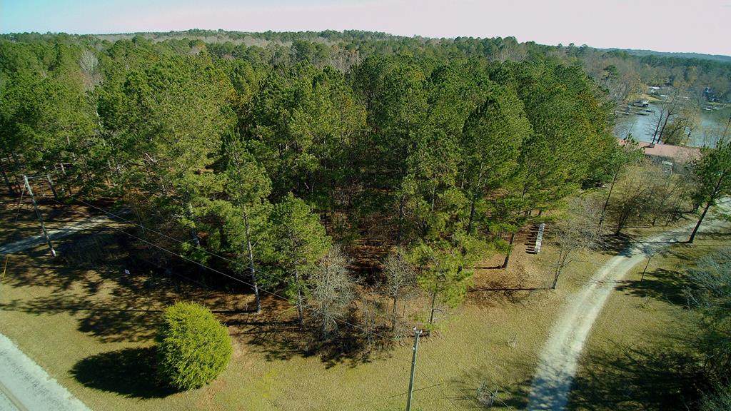 Lot 3 Quesenberry Drive - Photo 1