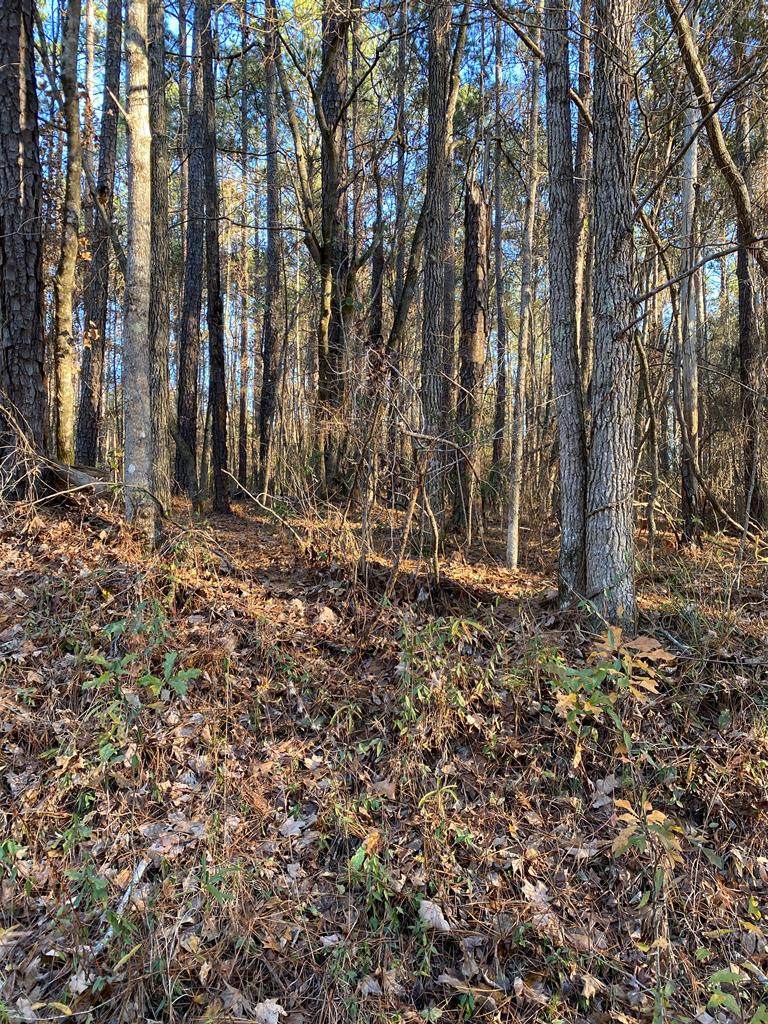 Lot 406 Cedar - Photo 1