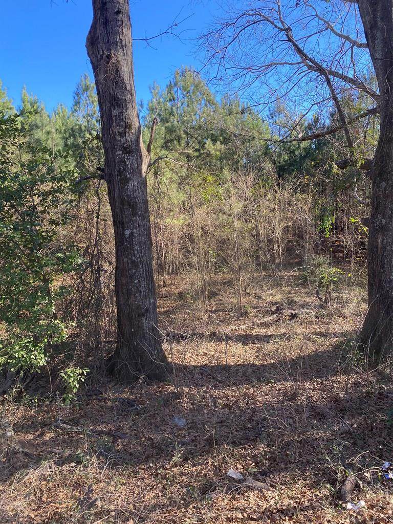Tract E County Line Rd. - Photo 1