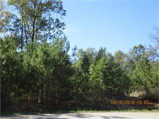 231 High Bluff Ct - Photo 1