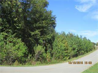 160 High Bluff Ct - Photo 1