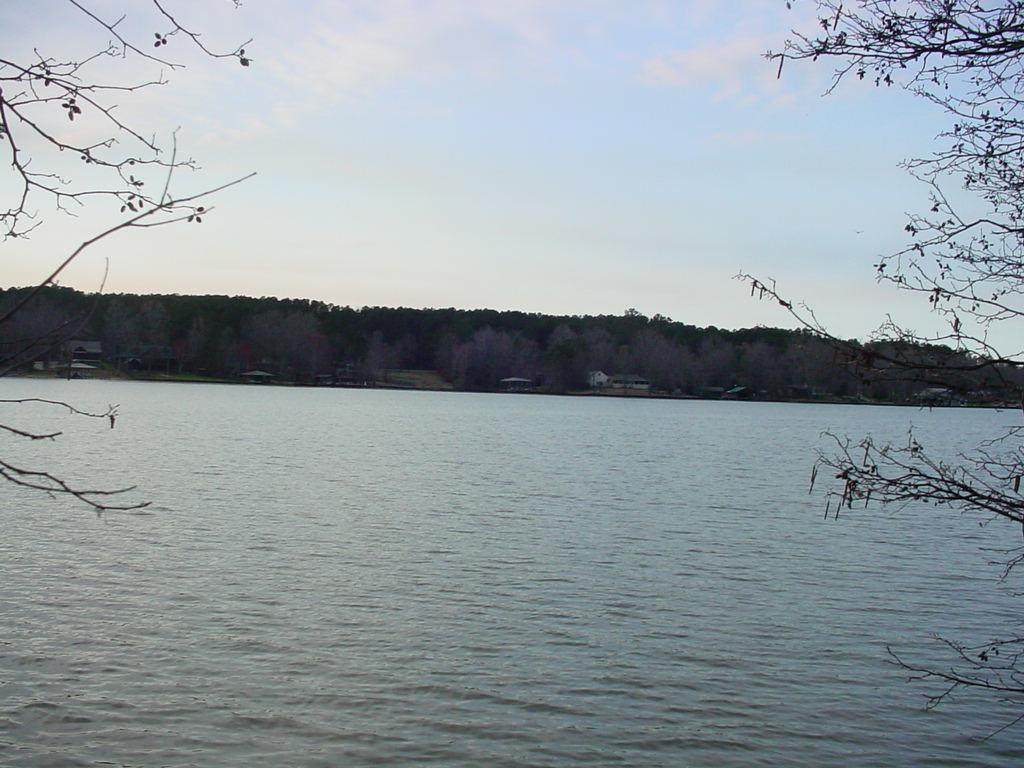Lot 79 Jamesway - Photo 1