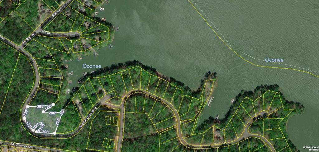 Tract 2 Martin Oaks Blvd - Photo 1