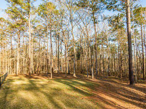 Lot 209 Sunfish Trail - Photo 1