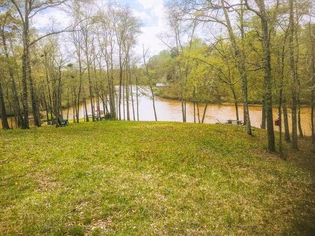 Lot 5 Burtom Road - Photo 1