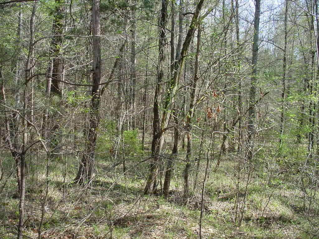 Lot 373 Lake Sinclair Drive - Photo 1