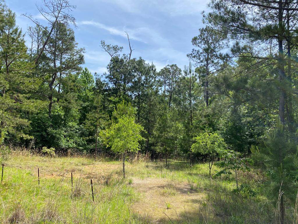 116 Island Creek Dr - Photo 1