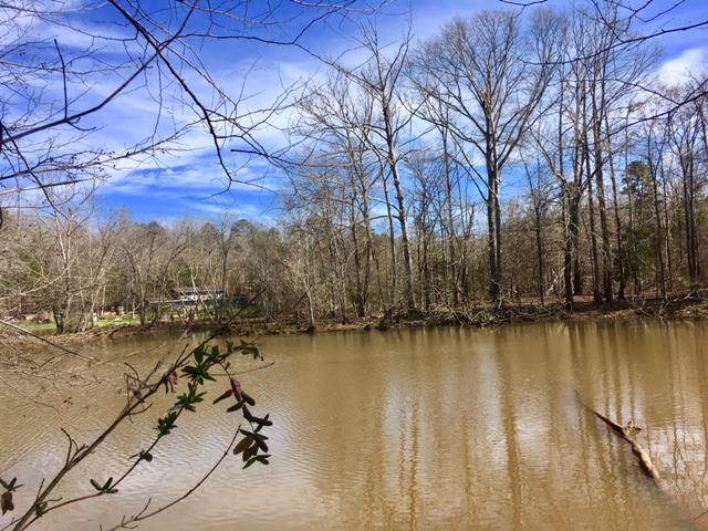 Lot 14 Shoals Pt - Photo 1