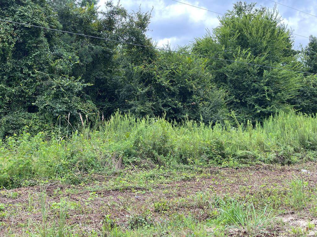 Lot 12 Tom Brown Road - Photo 1