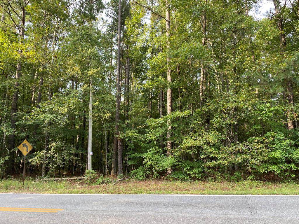 0 Possum Point - Photo 1