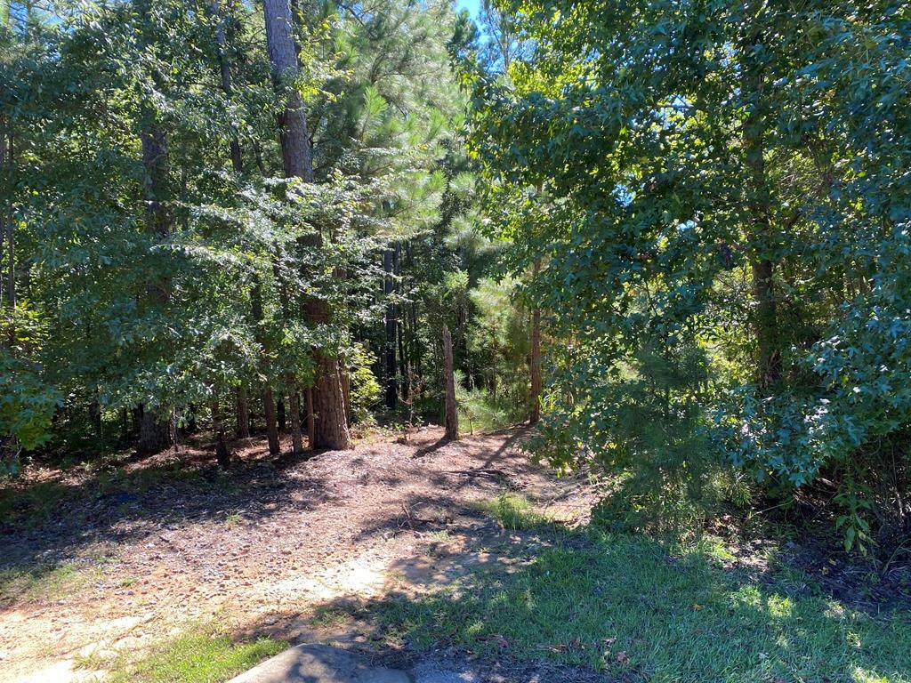 240 Lodestone Drive - Photo 1