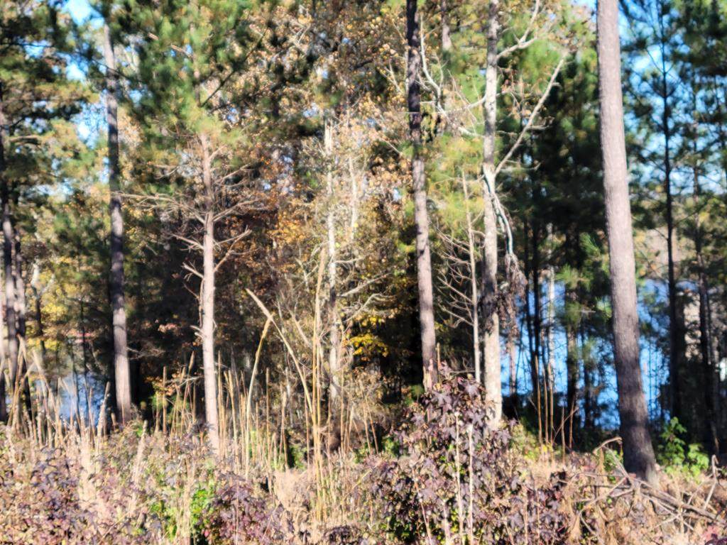 767 Parham Rd - Photo 1