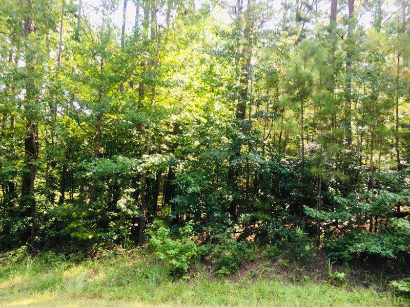 Lot 426 Little River Trail - Photo 1