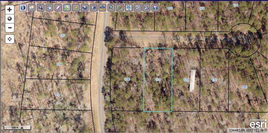 110 Lakespur - Photo 1