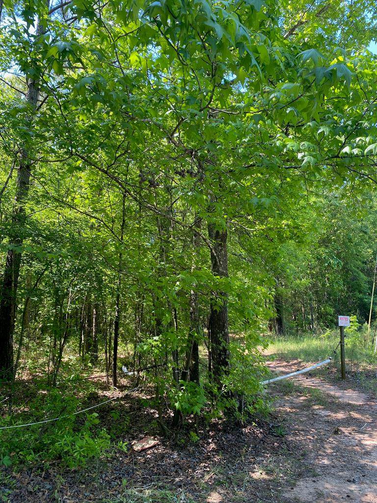0 Main Drive - Photo 1