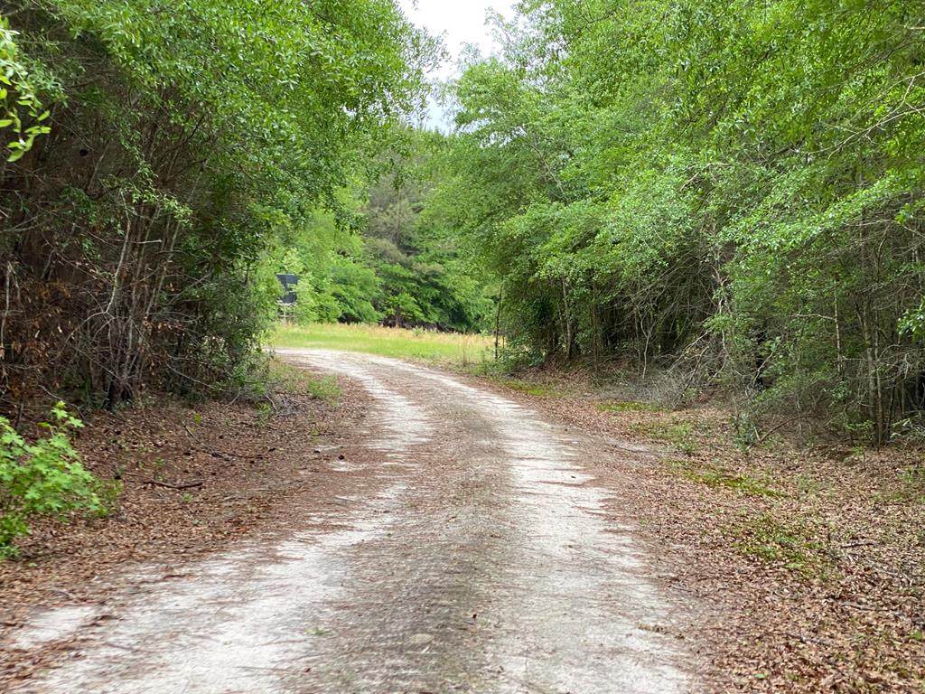 5525 Asbury Church Rd - Photo 1