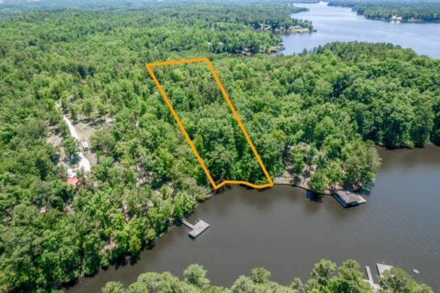 Lot 20 Sinclair Bluff - Photo 1