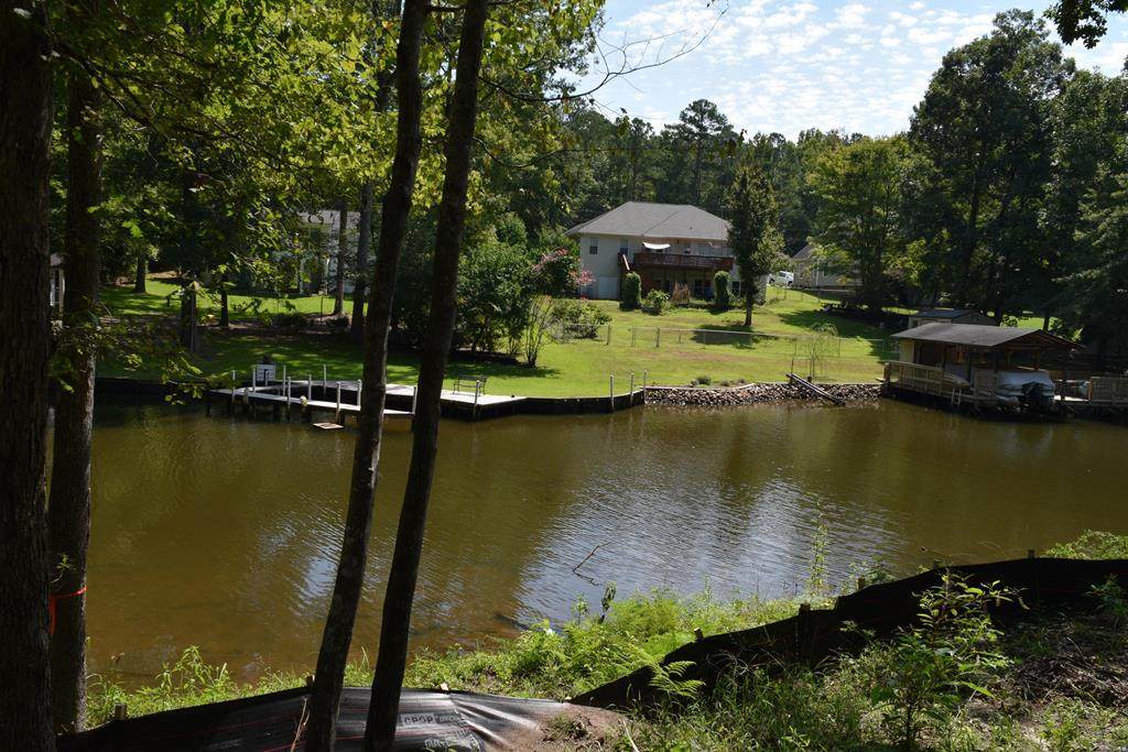 113 Bluegill Run - Photo 1