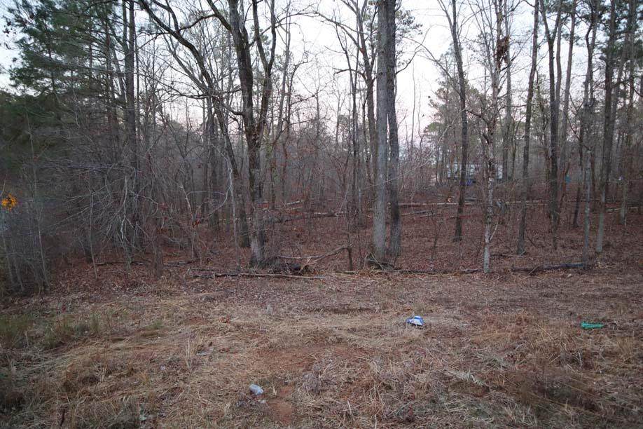 LT.502 Foxglove Dr. - Photo 1