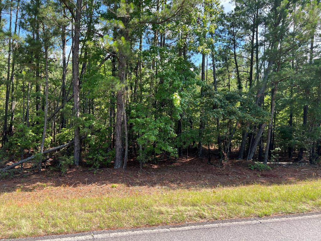 00 Ethridge Rd - Photo 1