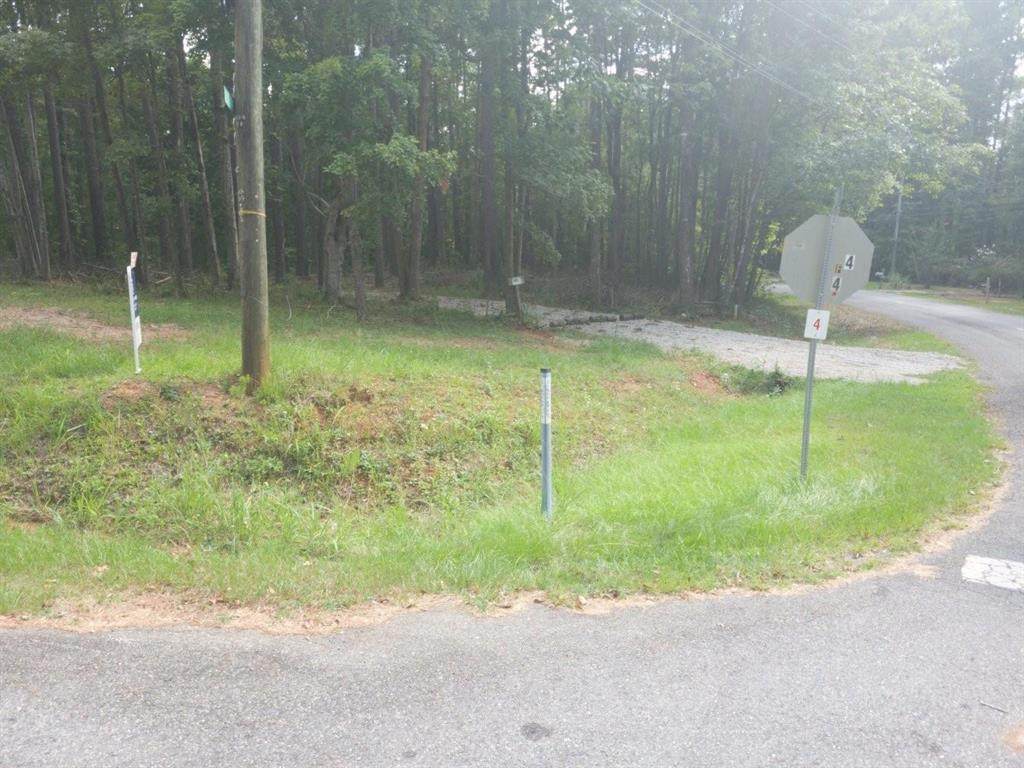 101 Little River Court - Photo 1