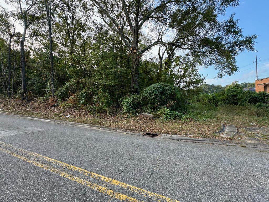 961 Vinson Highway - Photo 1