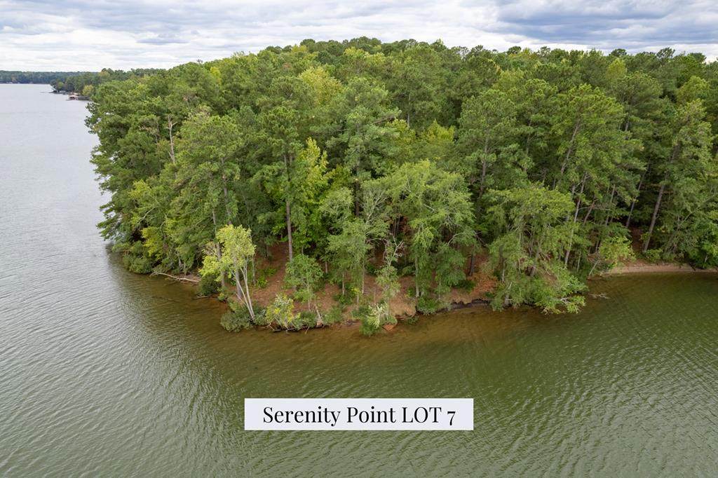 Lot 7 Serenity Point - Photo 1