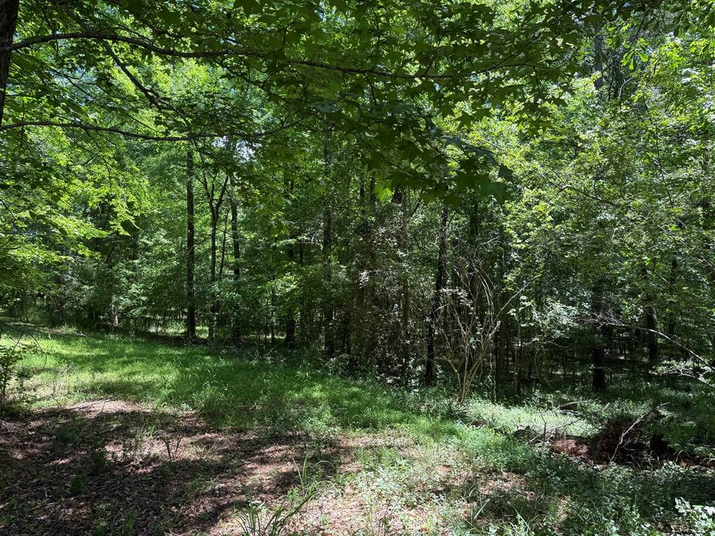 https://bt-photos.global.ssl.fastly.net/milledgeville/orig_boomver_1_52562-2.jpg