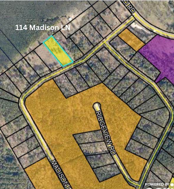 114 Madison Lane - Photo 1