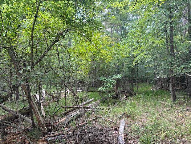 000 Pine Knoll - Photo 1