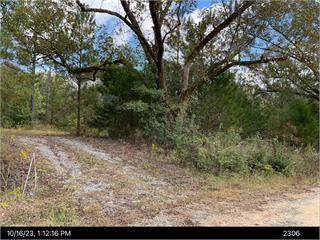 1300 Johns Golden - Photo 1