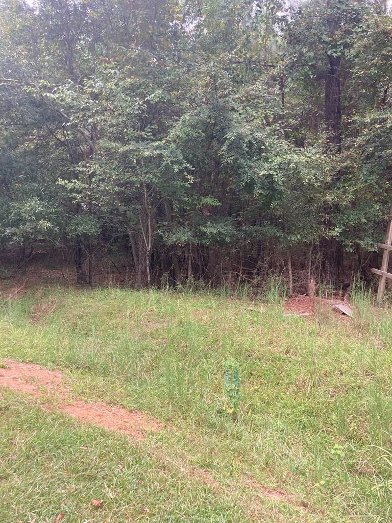 https://bt-photos.global.ssl.fastly.net/milledgeville/orig_boomver_1_52975-2.jpg