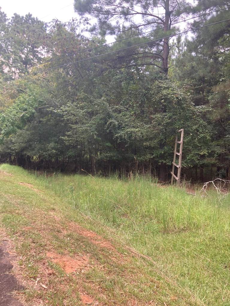 https://bt-photos.global.ssl.fastly.net/milledgeville/orig_boomver_1_52975-2.jpg
