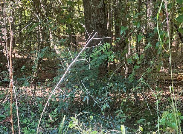 lot A-99 Possum Point Dr - Photo 1