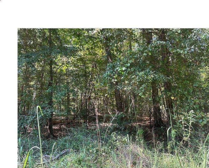 https://bt-photos.global.ssl.fastly.net/milledgeville/orig_boomver_1_52994-2.jpg