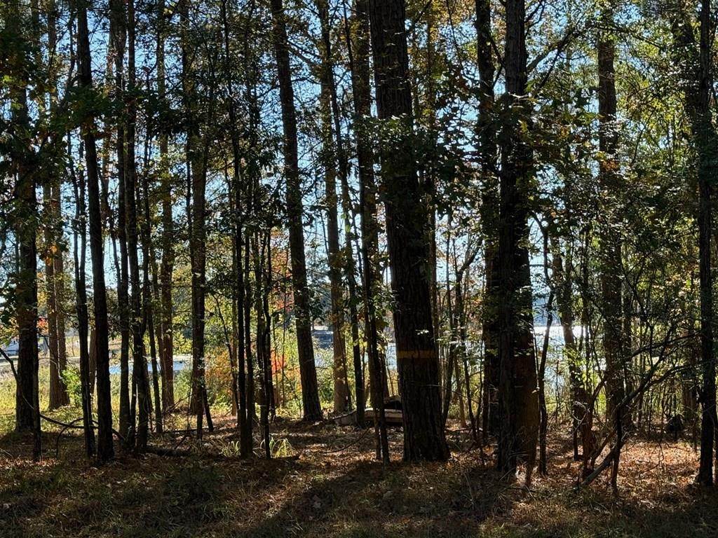 315 Sinclair Road - Photo 1