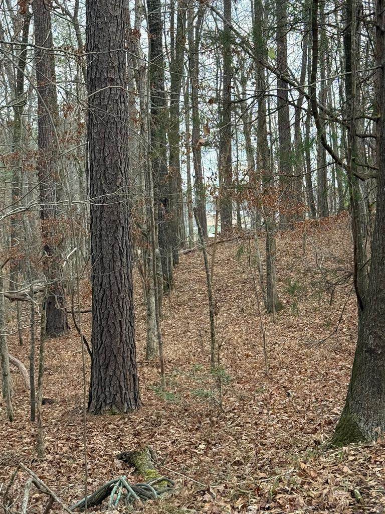 Lot 418 Poinsettia - Photo 1