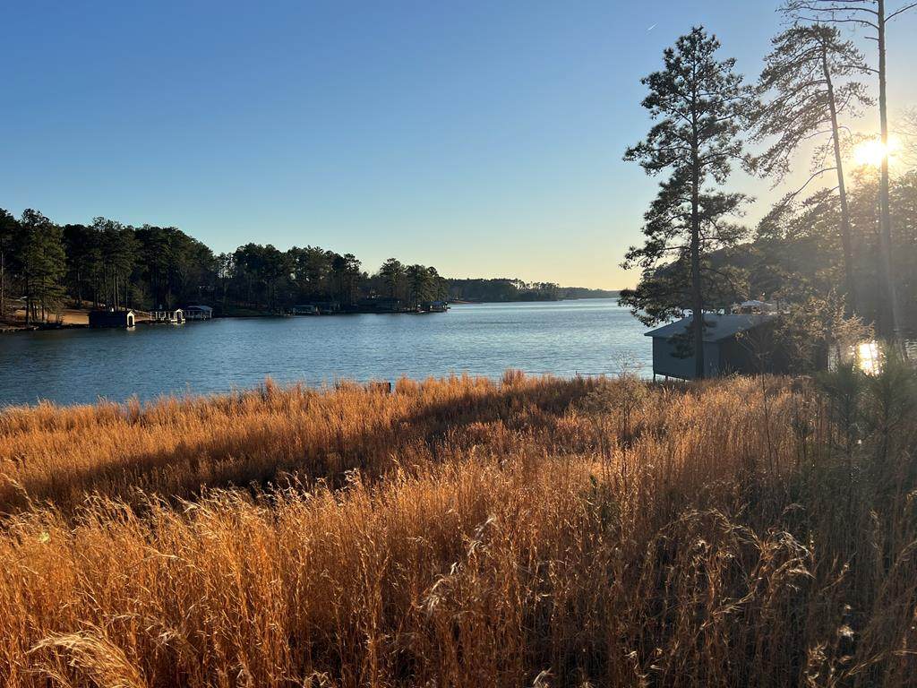 Lot 4 Sugar Bear Rd - Photo 1