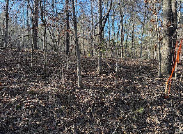 000 Bagley - Photo 1