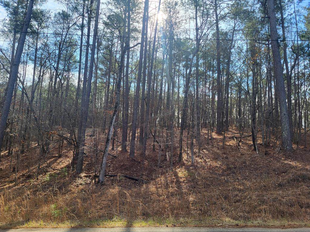 Lot 705 Oconee Dr - Photo 1