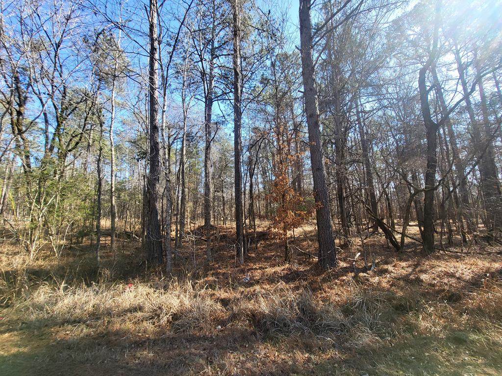 Lot 55 Island Creek Dr - Photo 1