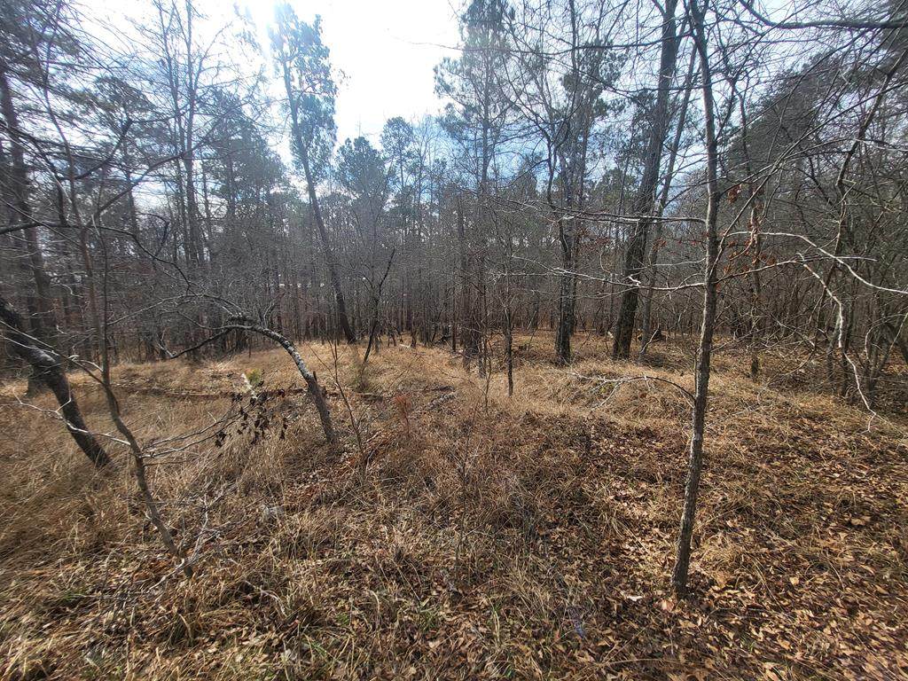 Lot 587 Begonia Dr - Photo 1