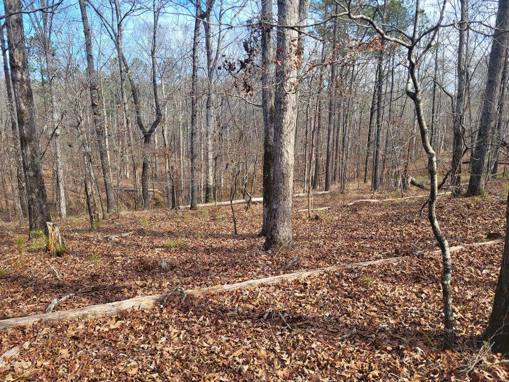 Lot 141 Amaryllis Dr - Photo 1