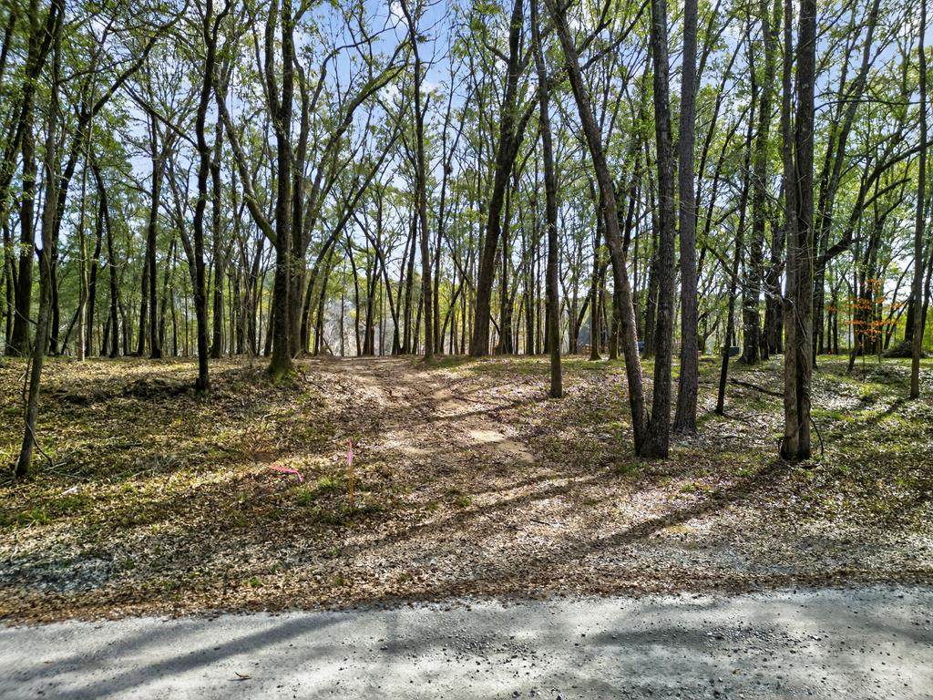 Lot 43 River Mist Road - Photo 1