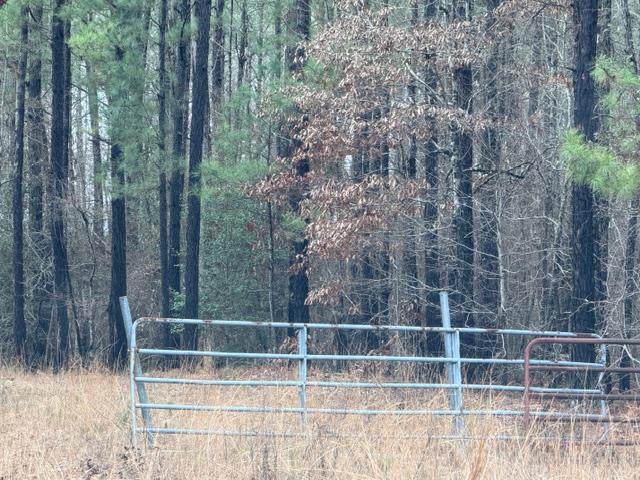 470/510 Ivey Farms Rd - Photo 1